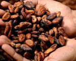 tartes et tartines fève de cacao